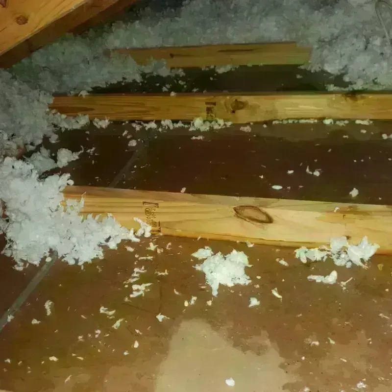 Attic Water Damage in South Roxana, IL