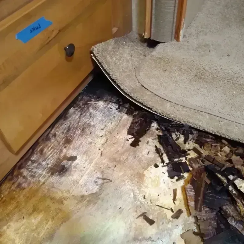 Best Wood Floor Water Damage Service in South Roxana, IL